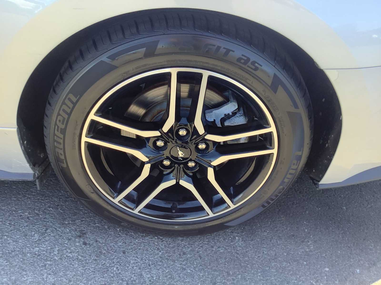 Used 2019 Ford Mustang GT Premium RWD image 7