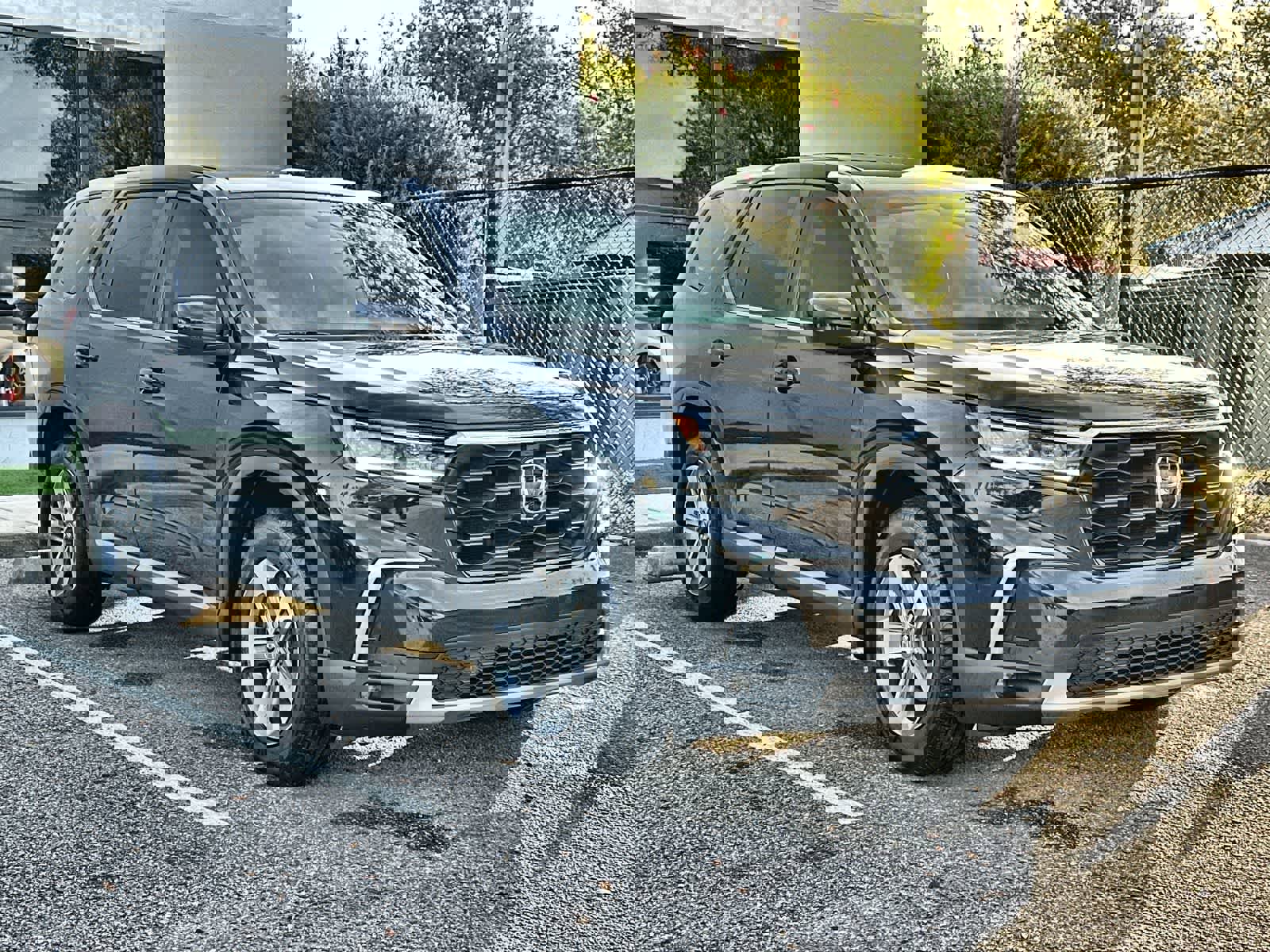 Used 2025 Honda Pilot EX-L image 11