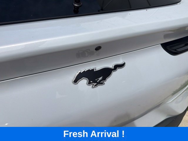 Used 2023 Ford Mustang Mach-E Select AWD/4WD image 7
