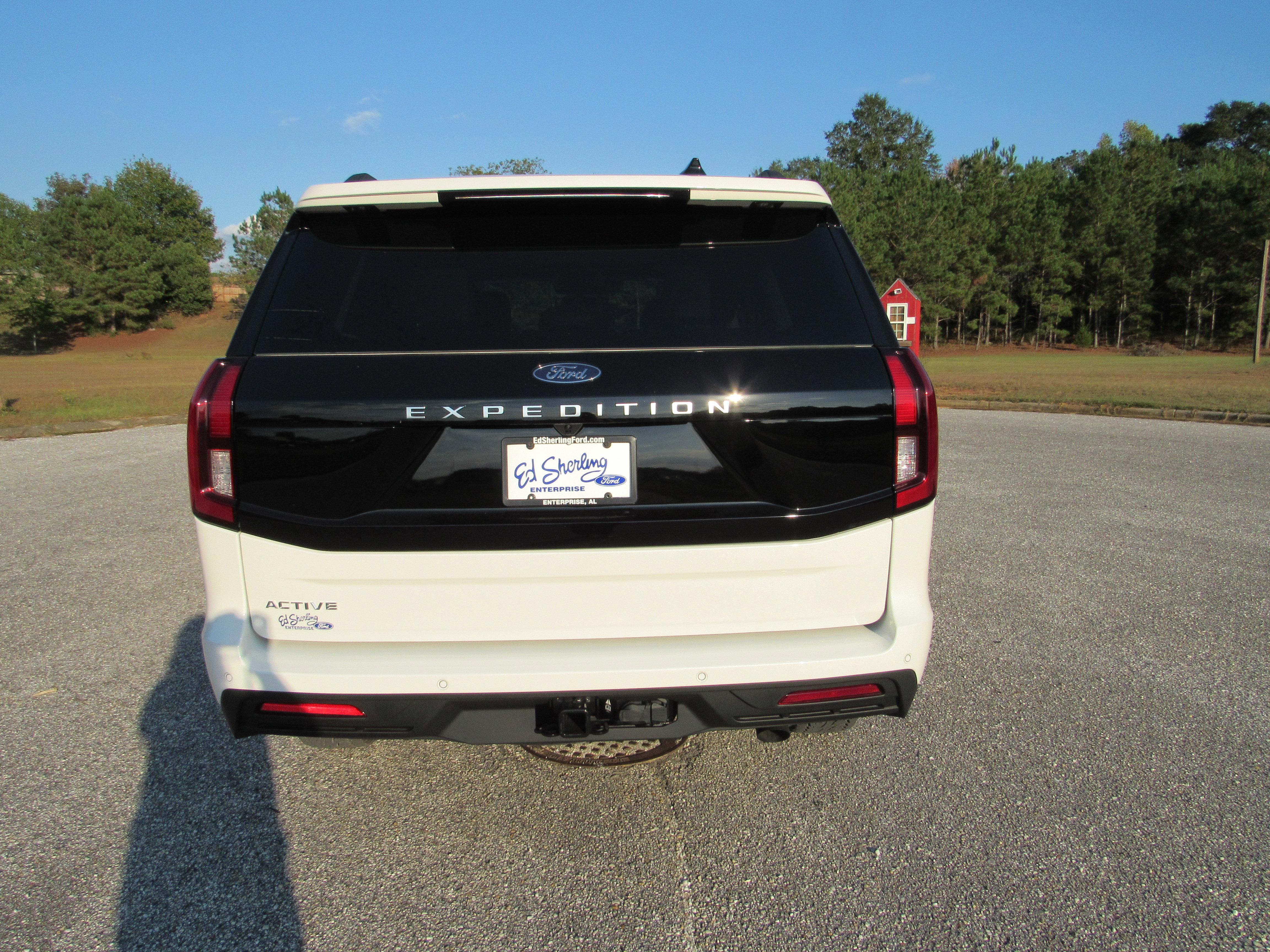 New 2025 Ford Expedition Active image 5