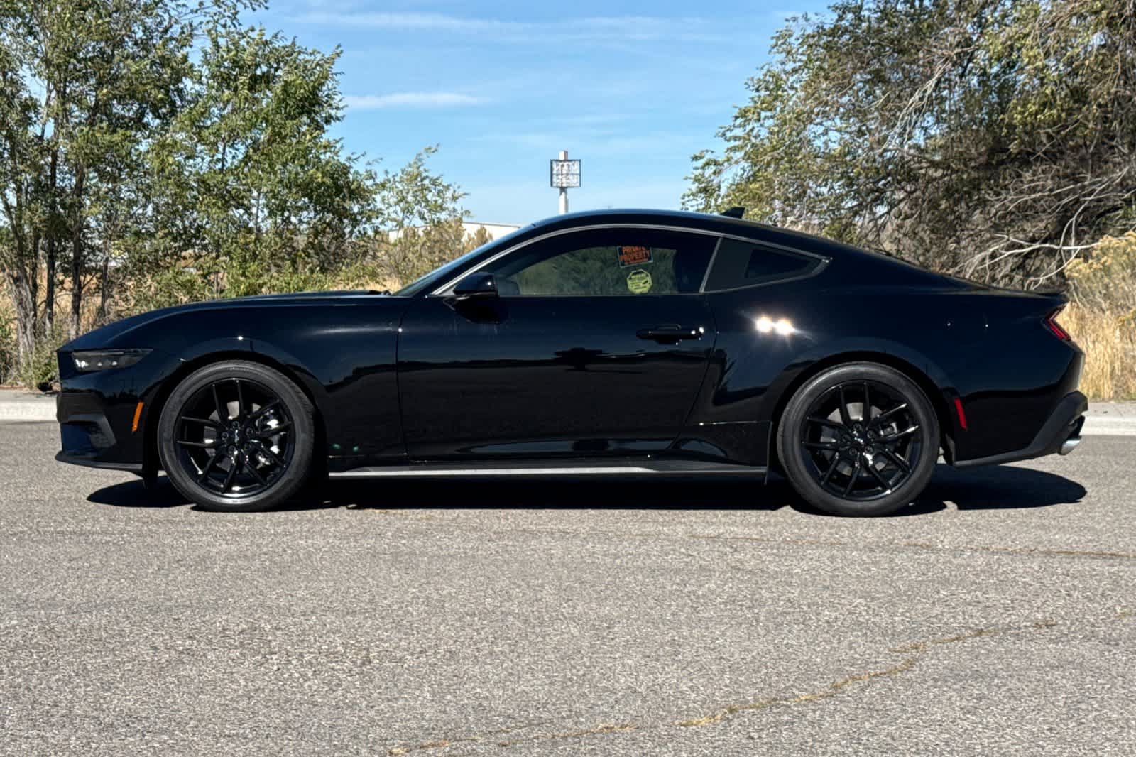 Certified 2024 Ford Mustang Premium w/ Mustang Nite Pony Package RWD image 5