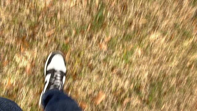 Used 2023 Nissan Armada SL w/ Cargo Package image 12