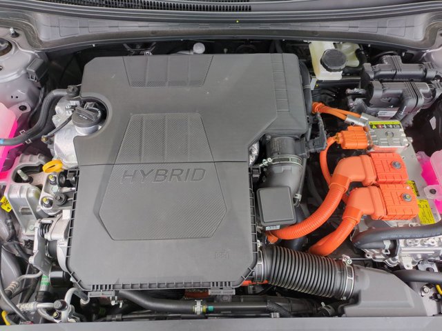 Used 2025 Hyundai Elantra Limited image 24