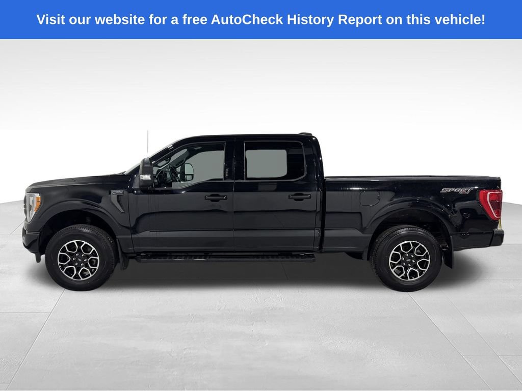 Used 2023 Ford F150 XLT w/ Equipment Group 302A High AWD/4WD image 15