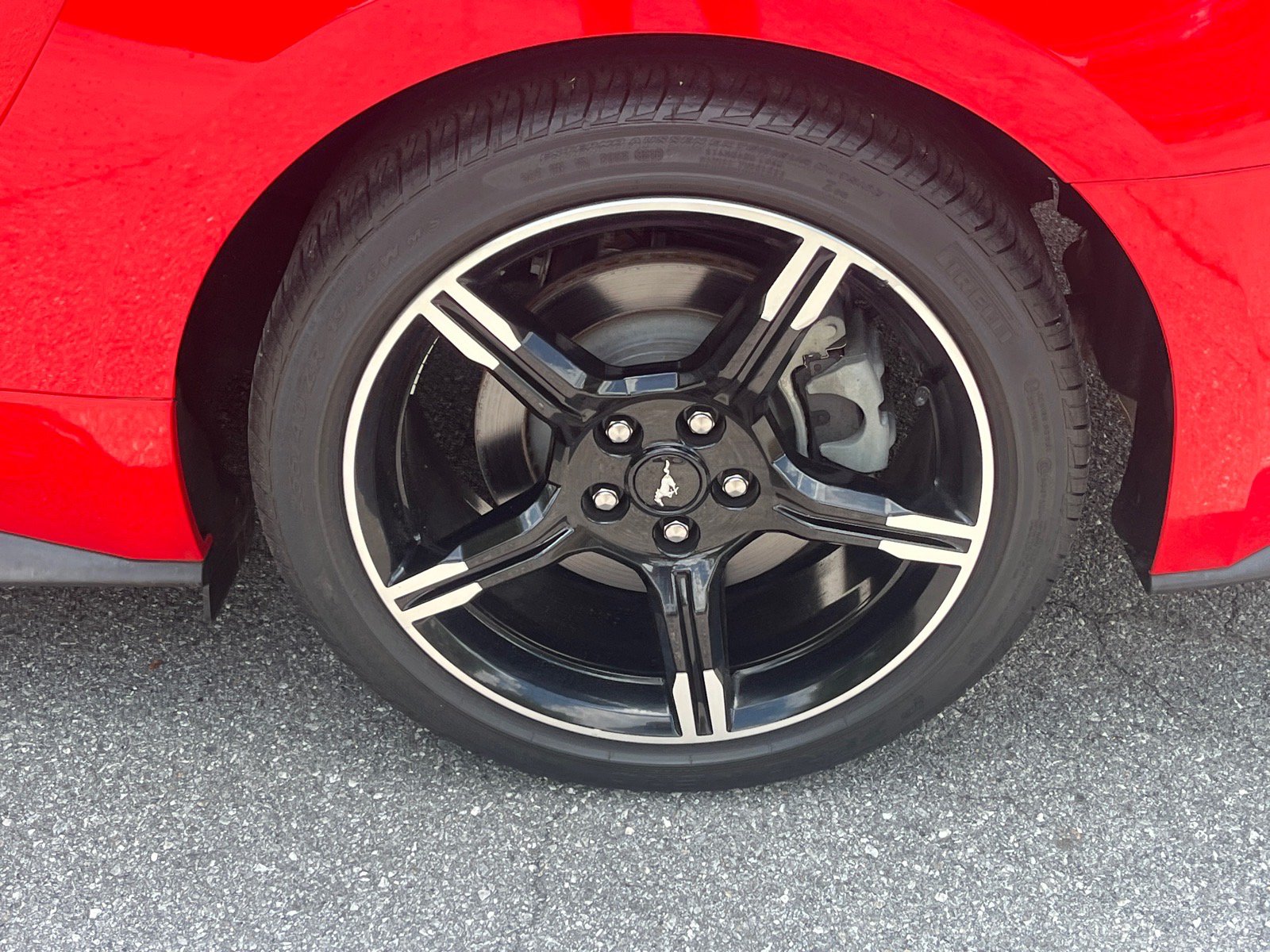 Certified 2019 Ford Mustang GT Premium w/ California Special Package RWD image 21