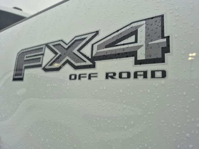 Used 2025 Ford F150 XLT w/ Equipment Group 302A MID image 49