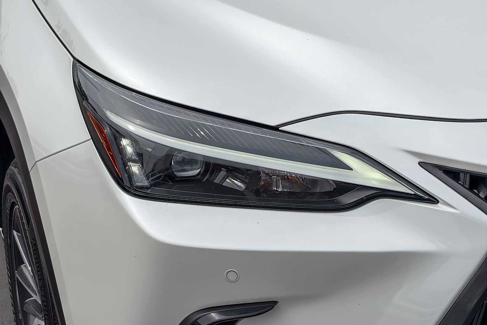 Used 2024 Lexus NX 350h AWD image 7