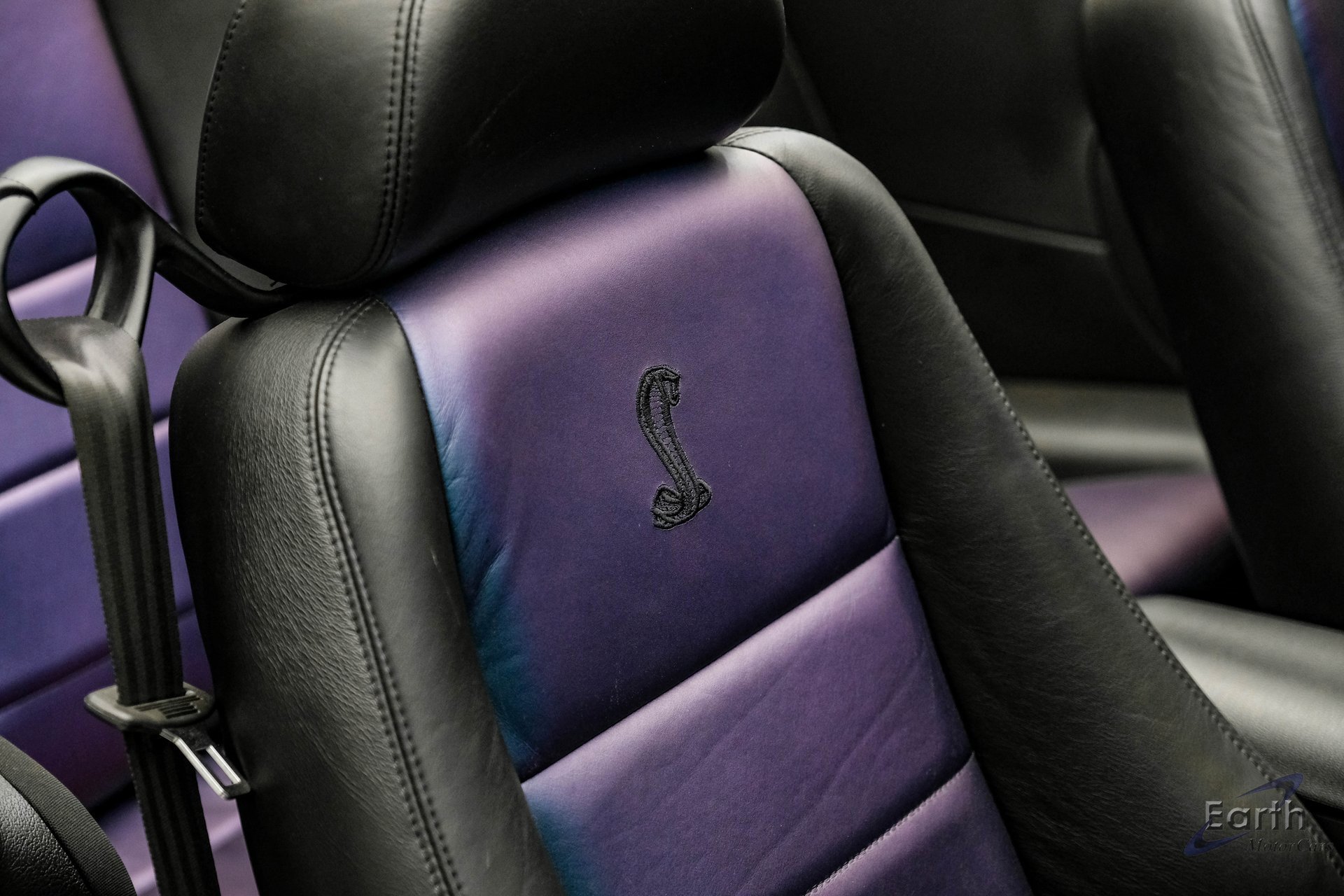 Used 2004 Ford Mustang Cobra image 66