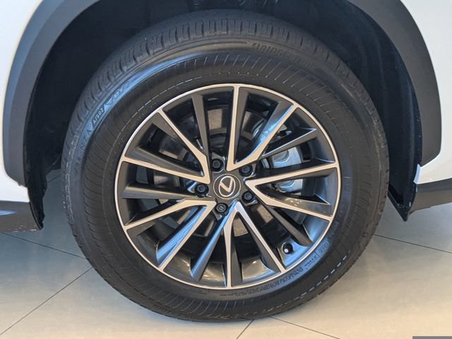 Certified 2024 Lexus NX 350h AWD w/ Cold Area Package image 10