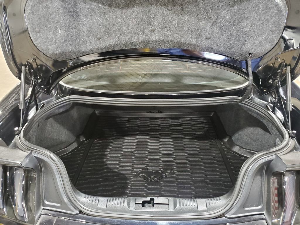 Used 2019 Ford Mustang GT Premium w/ GT Performance Package image 38