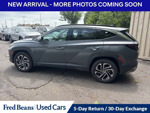 Used 2025 Hyundai Tucson Limited AWD/4WD image 5