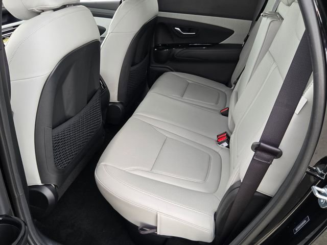New 2025 Hyundai Santa Cruz Limited AWD/4WD image 6