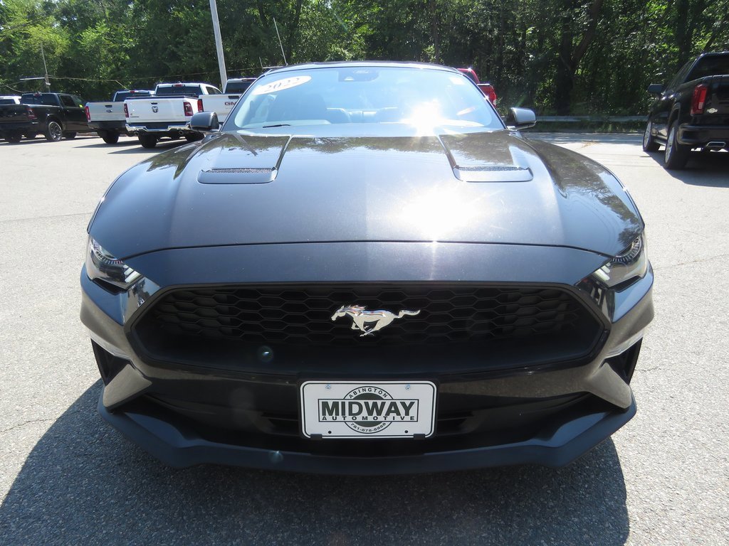 Used 2022 Ford Mustang Premium image 3