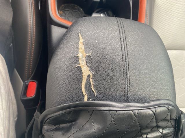 Used 2019 Toyota RAV4 Adventure image 13