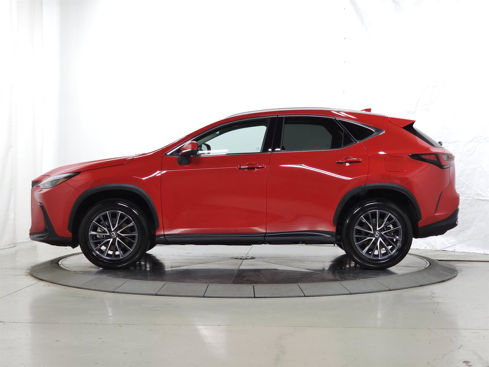 Used 2024 Lexus NX 350h AWD image 5