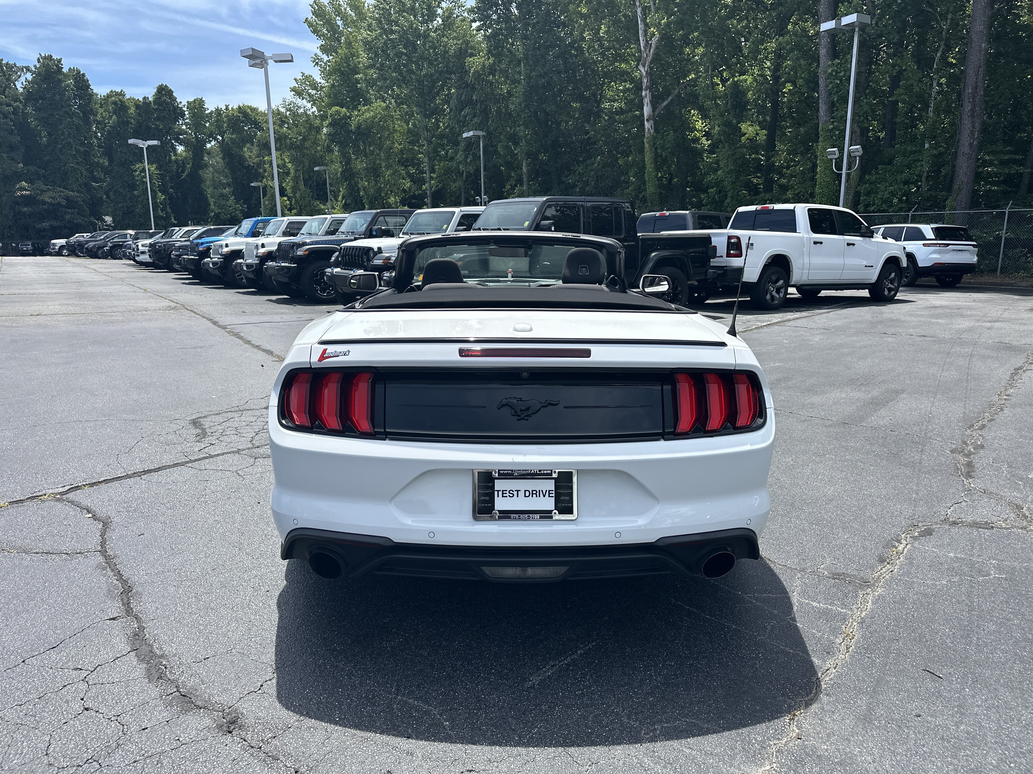 Used 2019 Ford Mustang Convertible w/ Equipment Group 101A RWD image 8