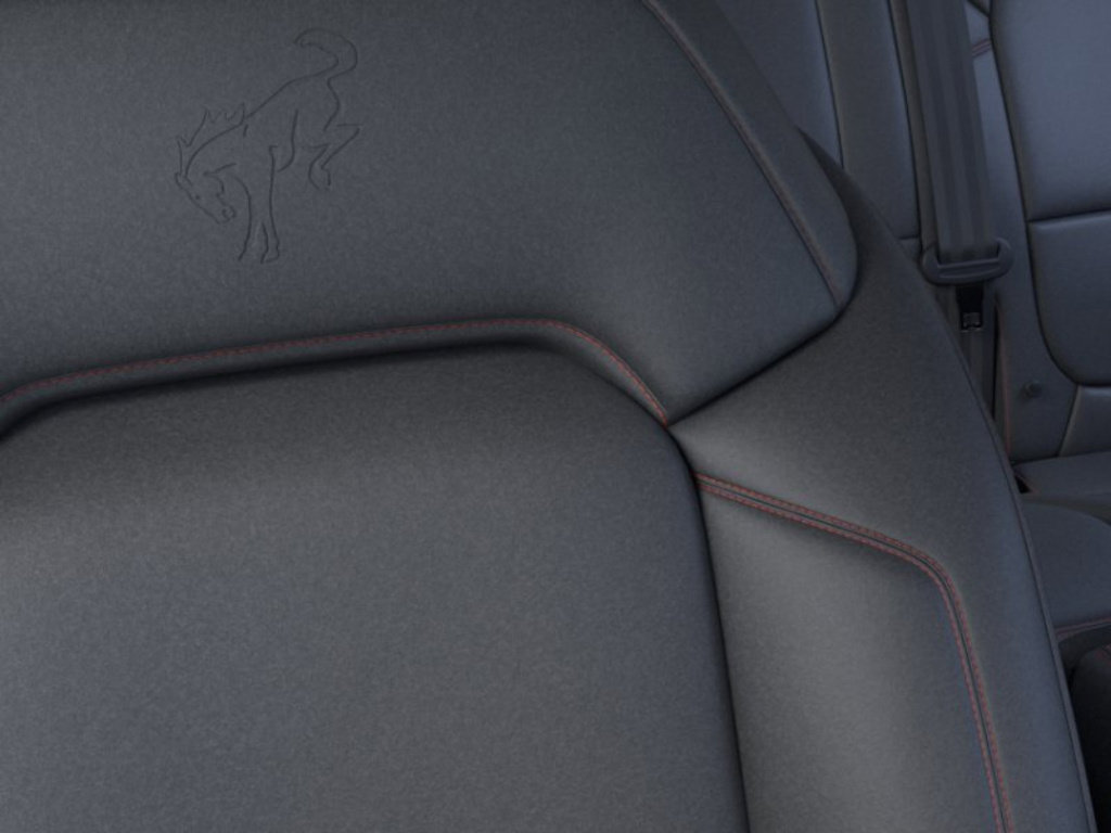 New 2026 Ford Bronco Stroppe Edition AWD/4WD image 18