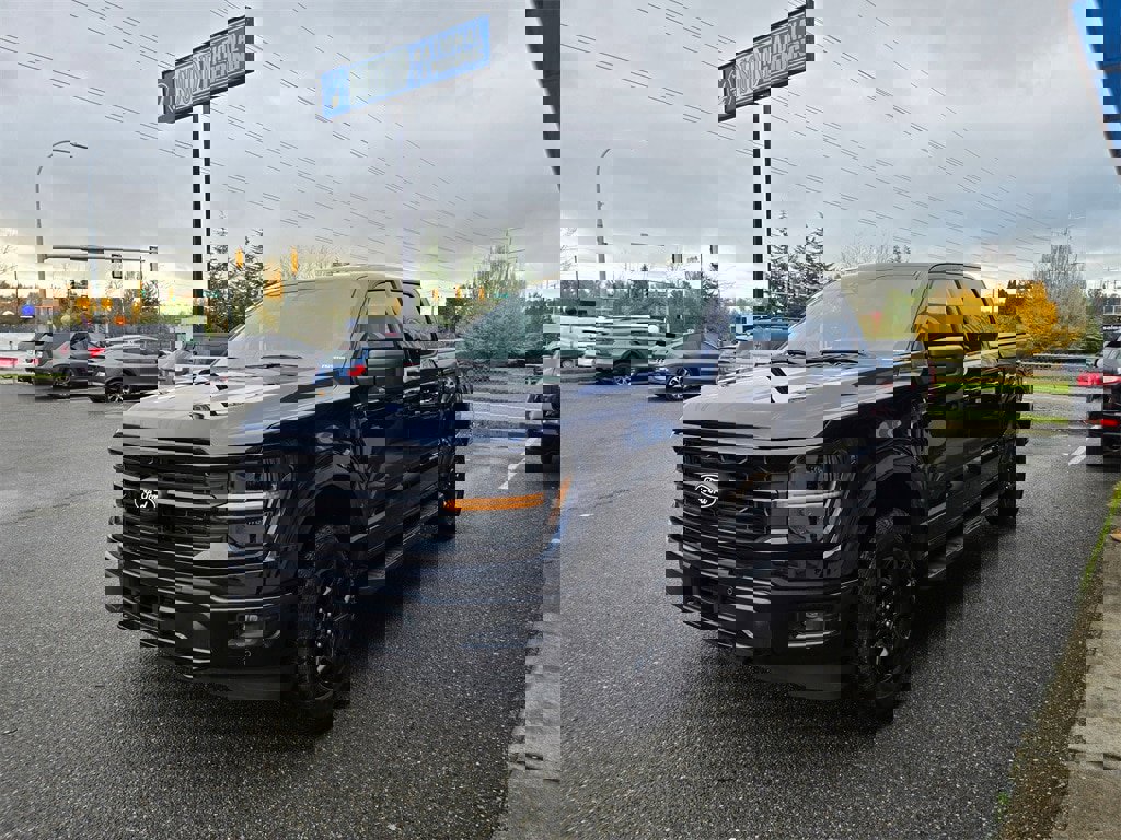 Used 2025 Ford F150 XLT w/ Equipment Group 302A MID image 1