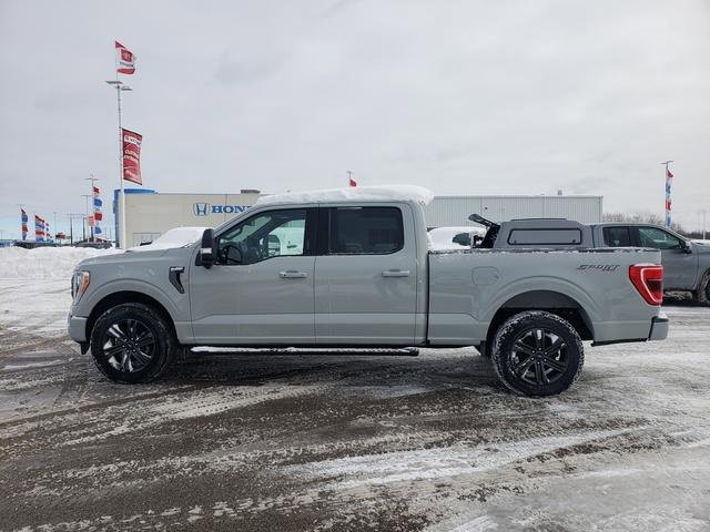 Used 2023 Ford F150 XLT w/ Equipment Group 302A High image 8