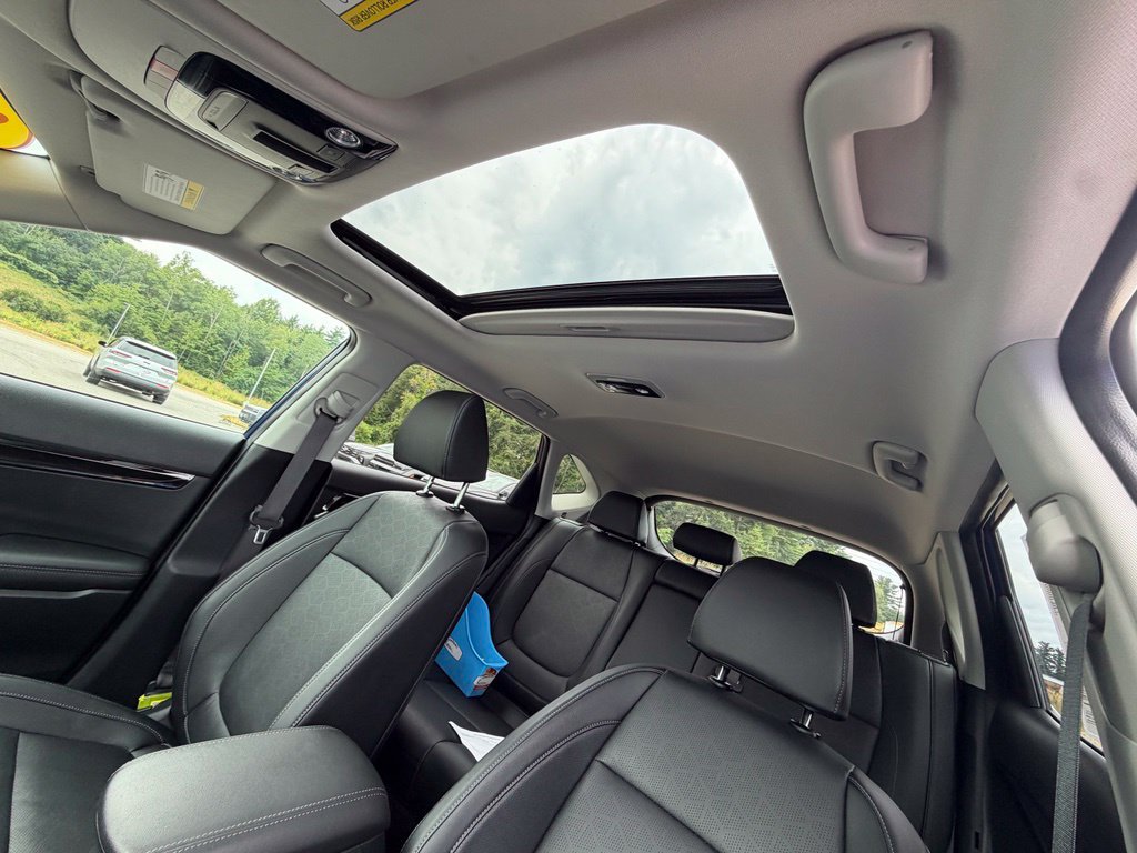 Used 2025 Kia Seltos EX w/ EX Sunroof Package AWD/4WD image 12