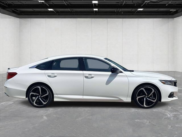 Used 2022 Honda Accord Sport Special Edition image 4