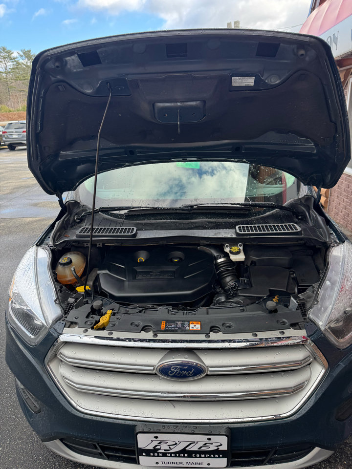 Used 2019 Ford Escape Titanium image 22