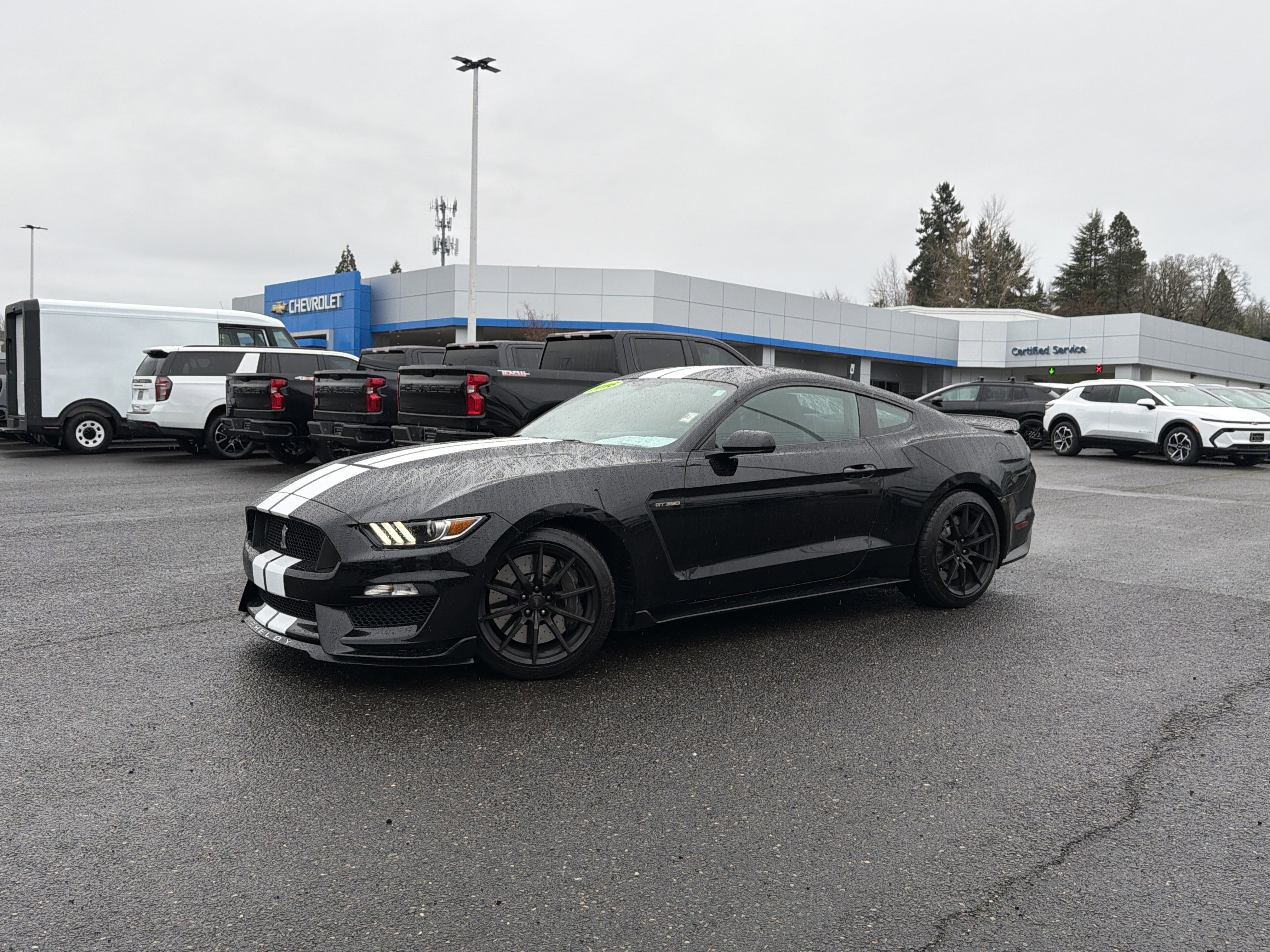 Used 2016 Ford Mustang Shelby GT350 w/ Track Package image 1