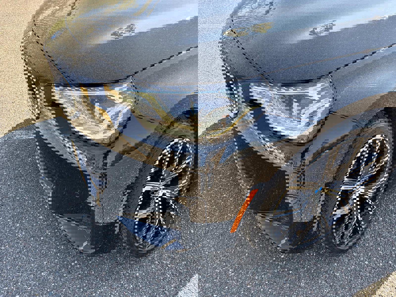 Used 2023 BMW 230i Coupe w/ Premium Package image 9