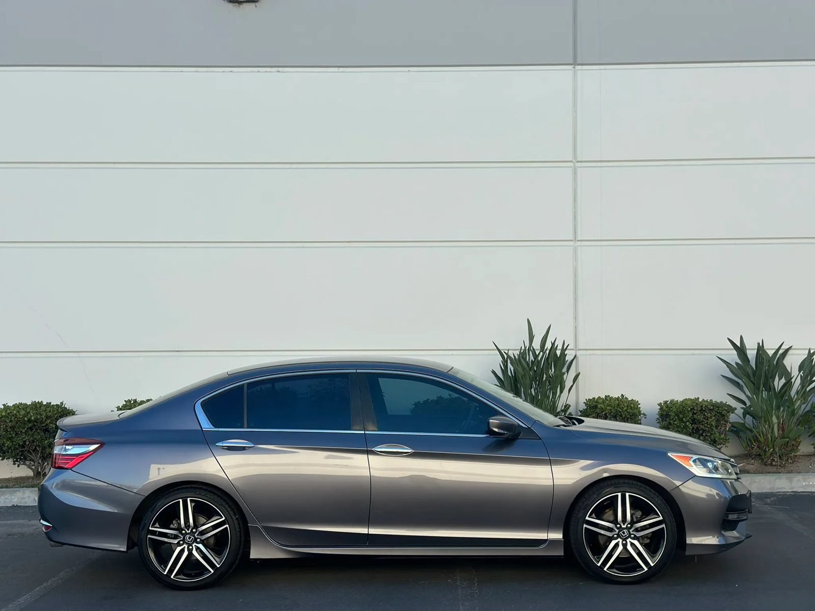 Used 2017 Honda Accord Sport image 5