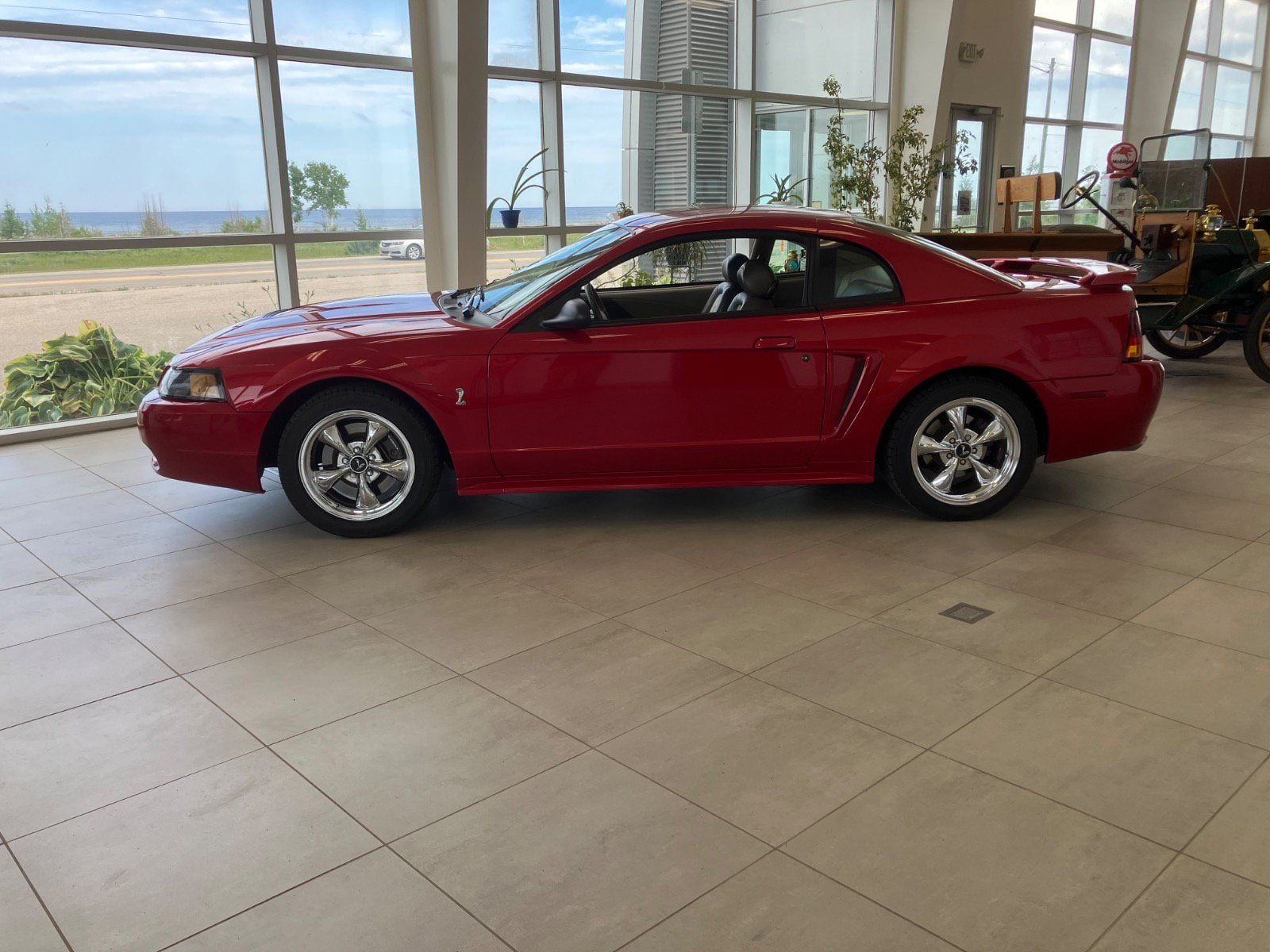 Used 2001 Ford Mustang Cobra RWD image 2