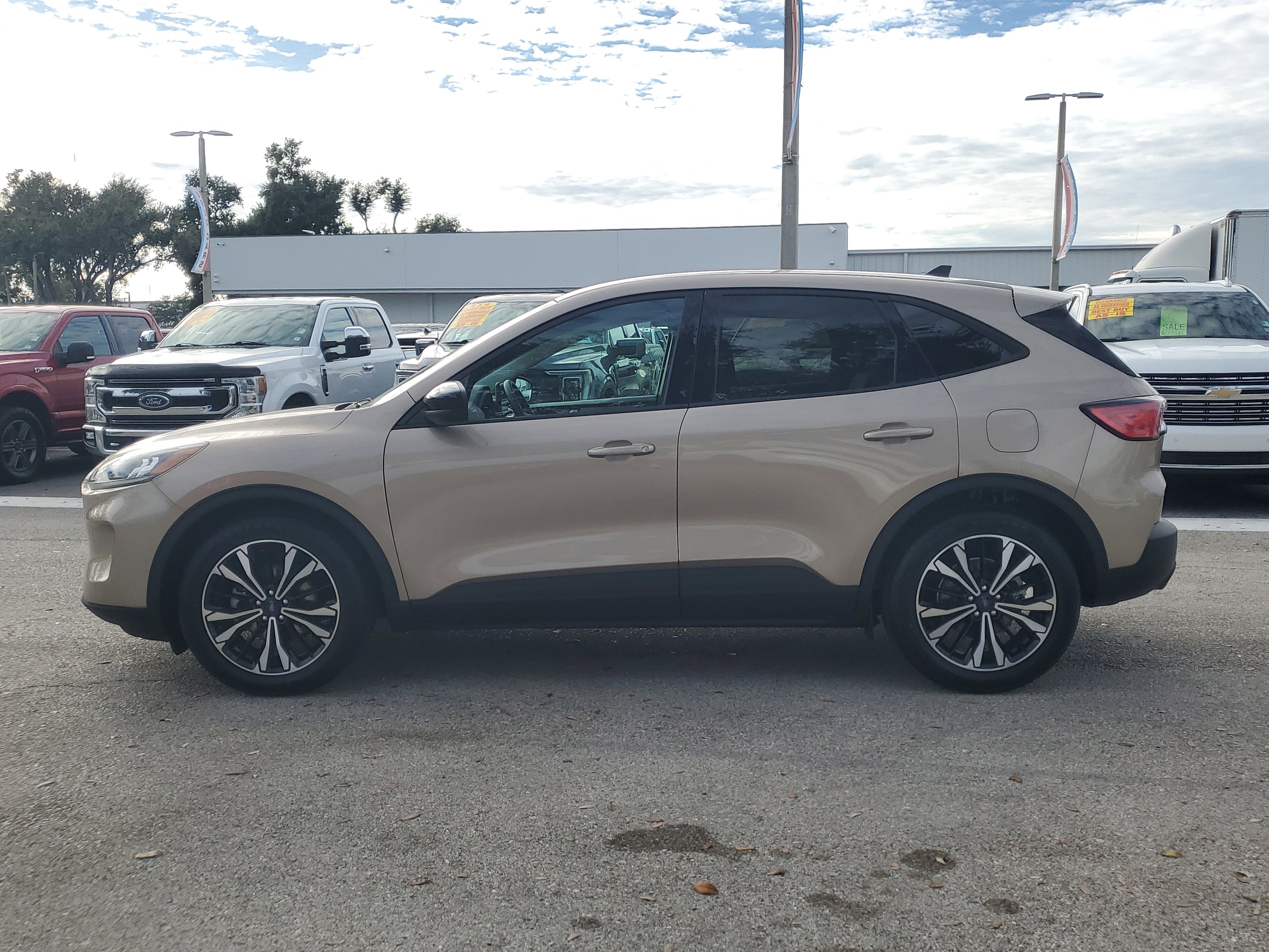 Used 2021 Ford Escape SE w/ SE Sport Appearance Package image 6