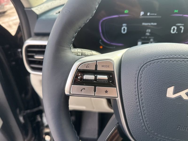 New 2025 Kia Telluride EX image 29