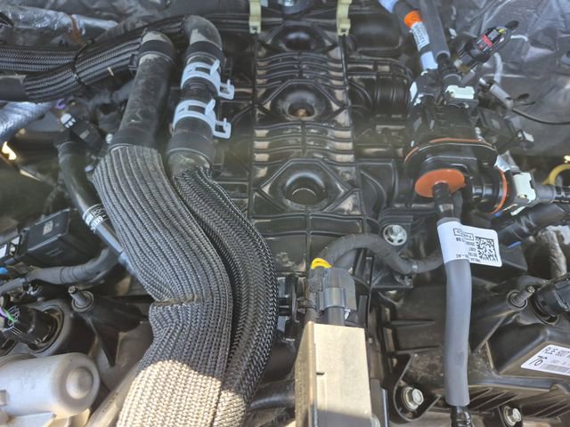 Used 2025 Ford F150 XLT w/ Equipment Group 301A Standard RWD image 24