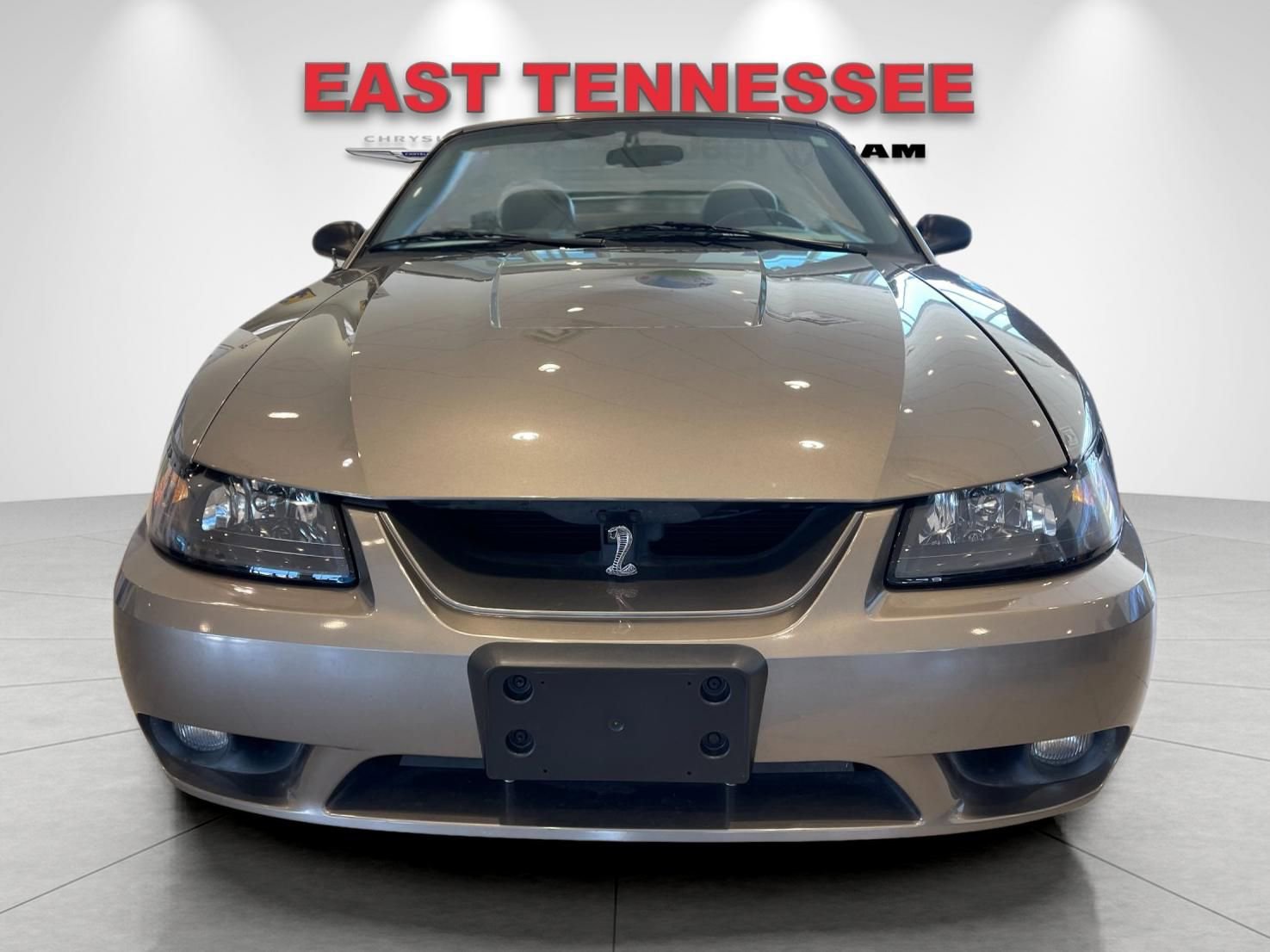 Used 2001 Ford Mustang Cobra RWD image 9