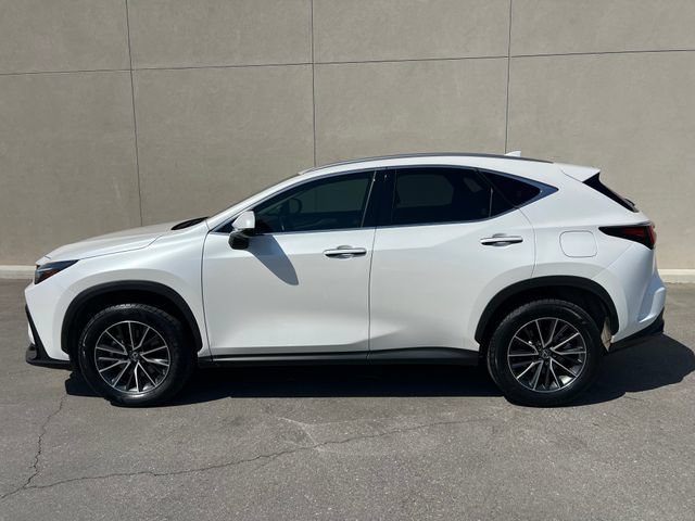 Used 2024 Lexus NX 350 AWD w/ Cold Area Package image 5