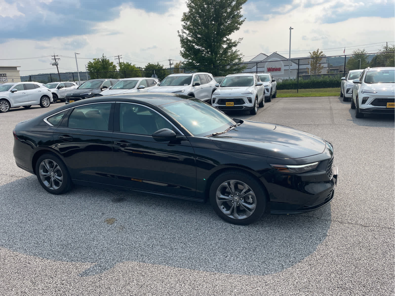 Used 2023 Honda Accord EX-L image 7