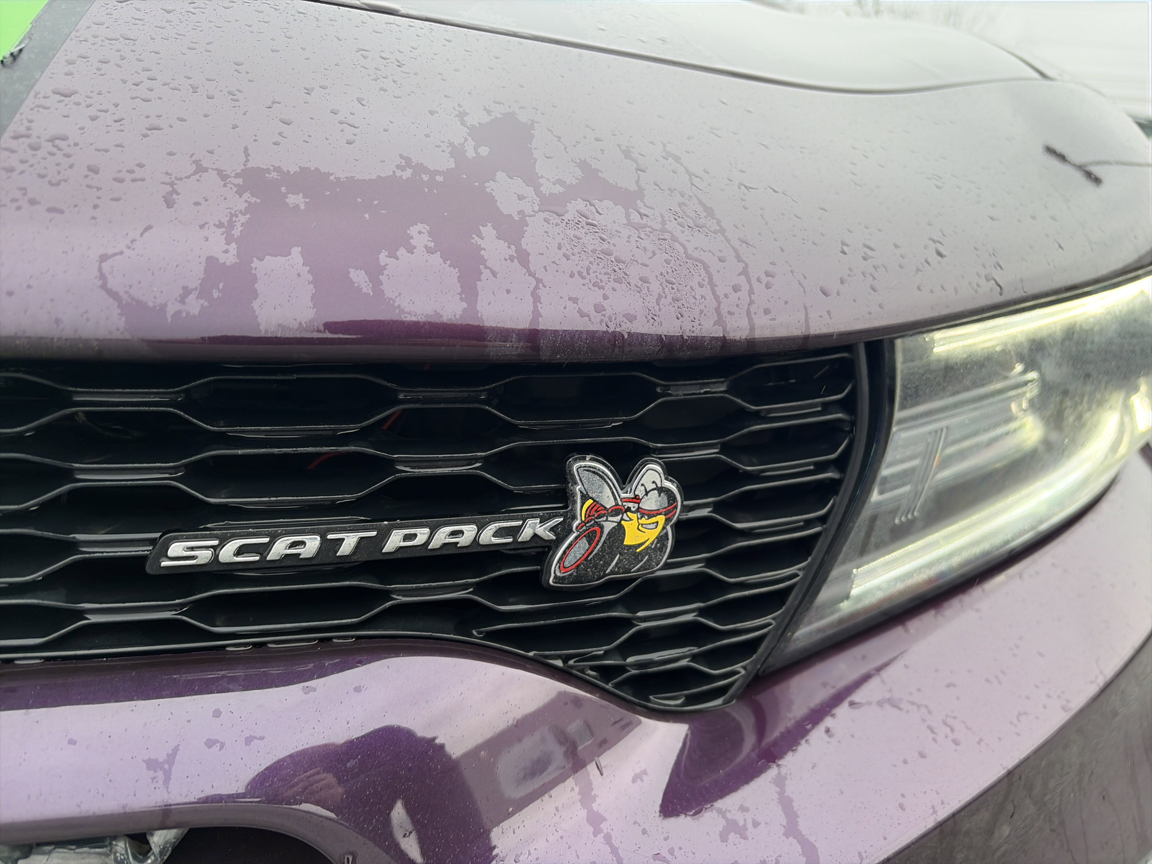 Used 2021 Dodge Charger Scat Pack image 8