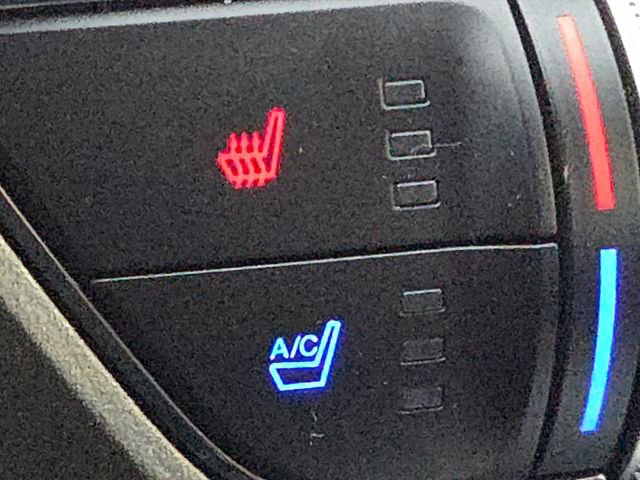 Certified 2022 Ford Mustang GT Premium w/ Equipment Group 401A image 4