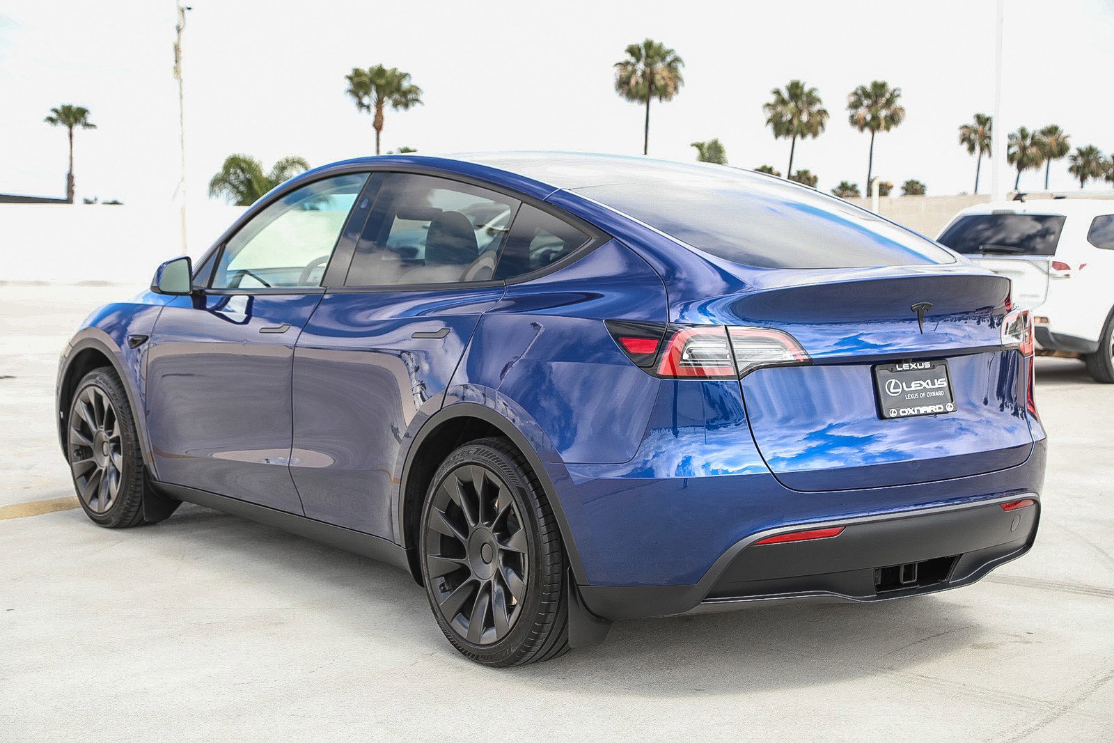Used 2024 Tesla Model Y Long Range RWD image 5