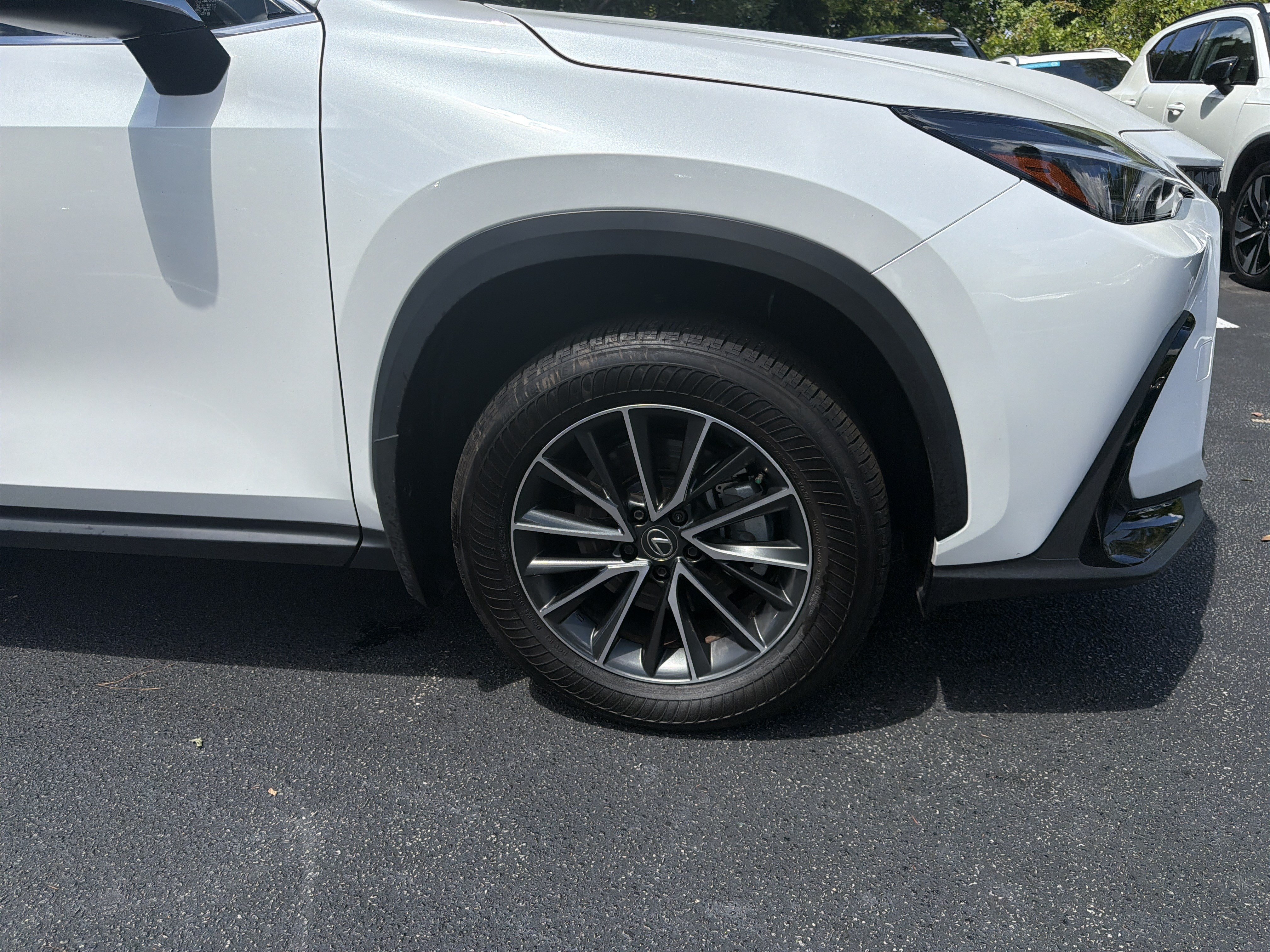 Used 2024 Lexus NX 250 FWD w/ Cold Area Package image 13