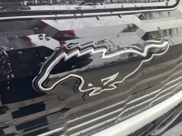 New 2025 Ford Mustang Mach-E Premium w/ Sport Appearance Package image 30