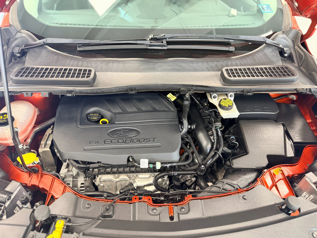 Used 2019 Ford Escape SEL image 29