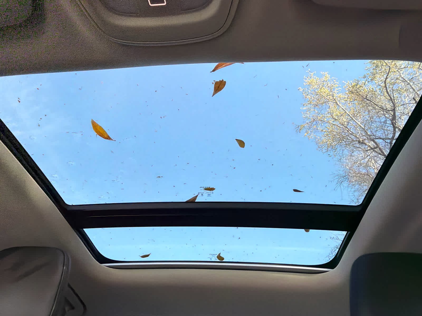 Certified 2024 Volvo S60 B5 Core image 33