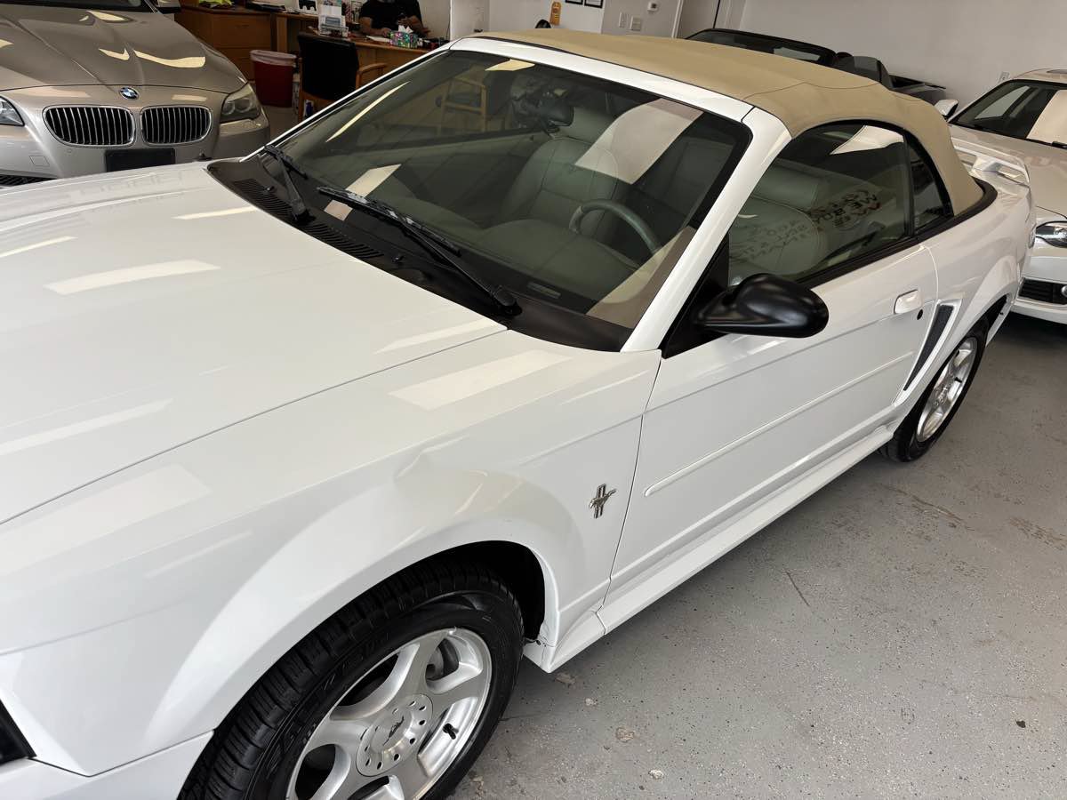 Used 2003 Ford Mustang Convertible RWD image 3