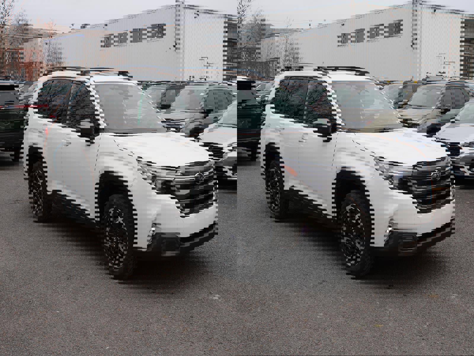 New 2026 Subaru Forester Limited image 3