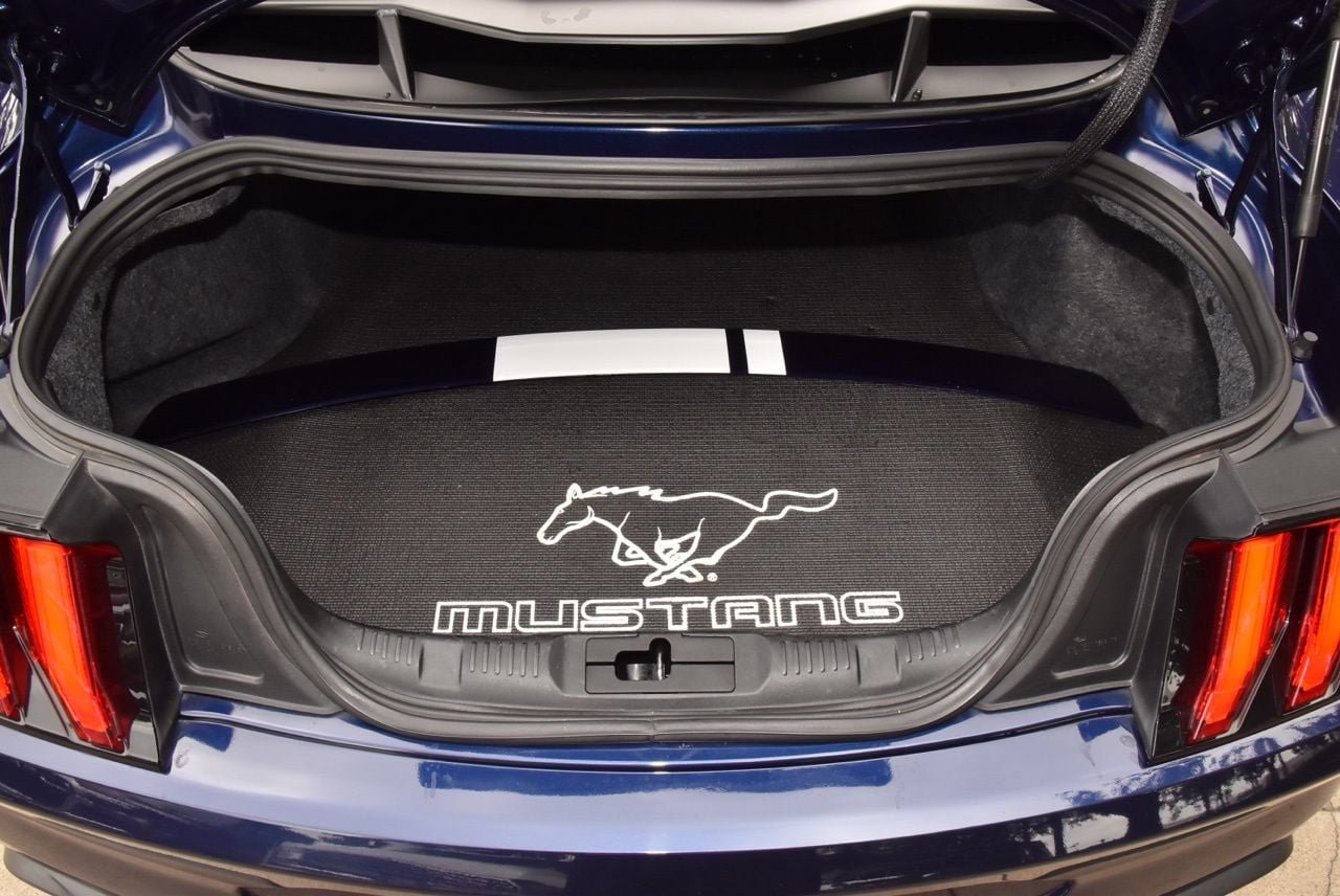 Used 2019 Ford Mustang Premium w/ Enhanced Security Package RWD image 33