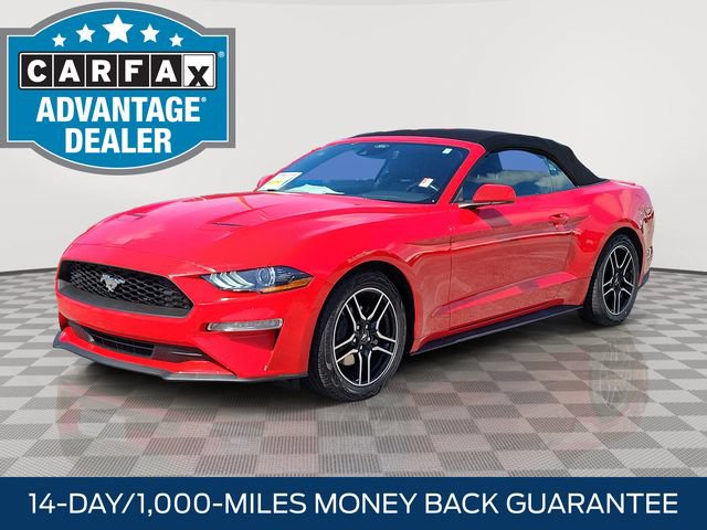 Certified 2023 Ford Mustang Premium RWD image 3