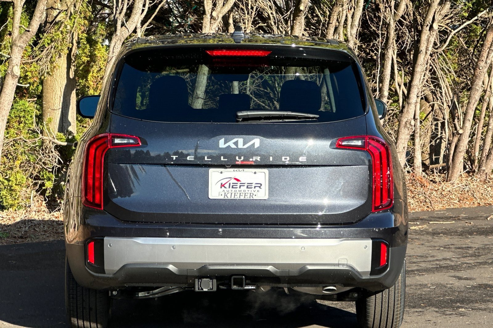 New 2025 Kia Telluride LX image 4