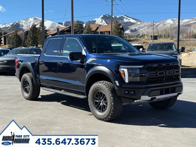 Used 2025 Ford F150 Raptor image 9