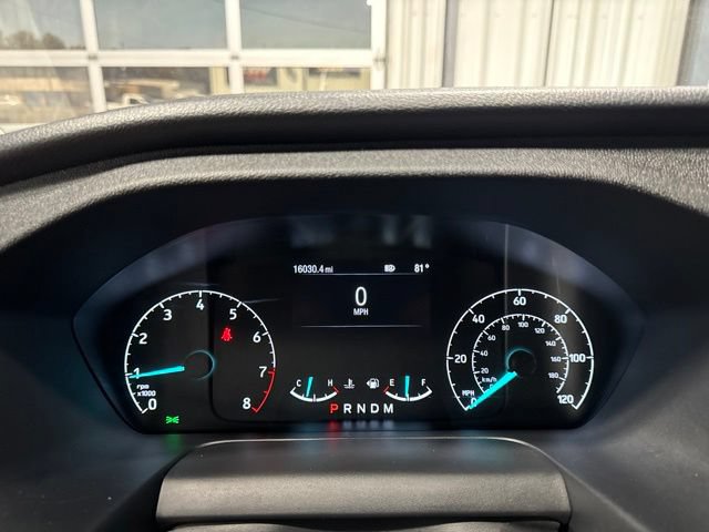 Used 2025 Ford Transit 250 Low Roof w/ Exterior Upgrade Package RWD image 8